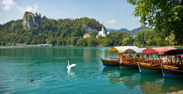 Bled