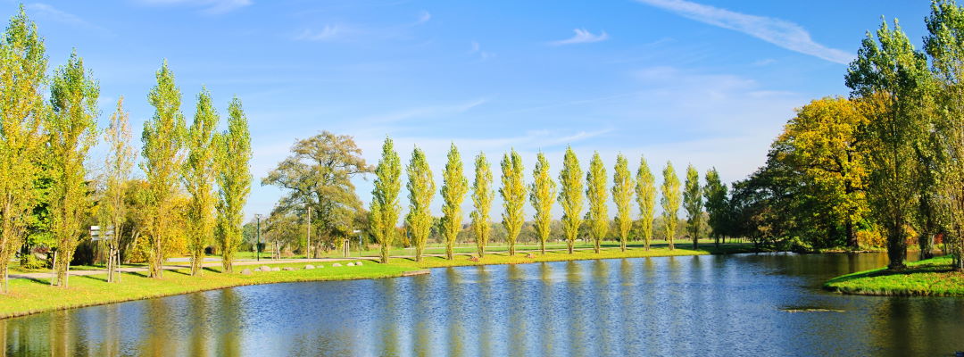 Urlaub Sachsen-Anhalt