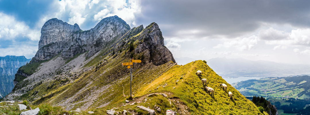 Urlaub im Berner Oberland