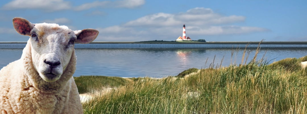 Urlaub Schleswig-Holstein