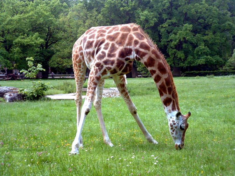 Zoo Augsburg