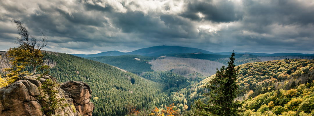 Urlaub im Harz