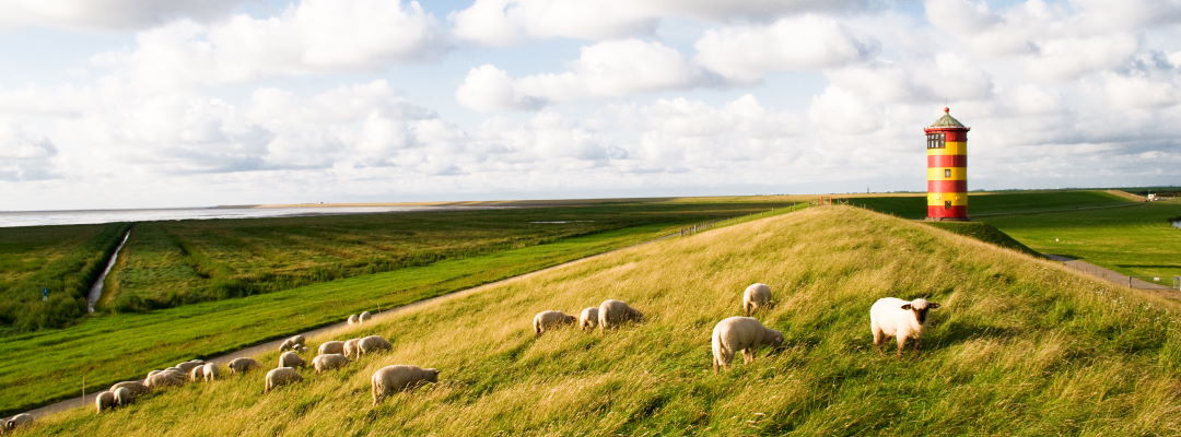 Urlaub in Niedersachsen