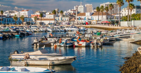 Faro