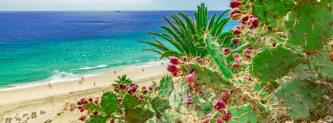 Urlaub Fuerteventura