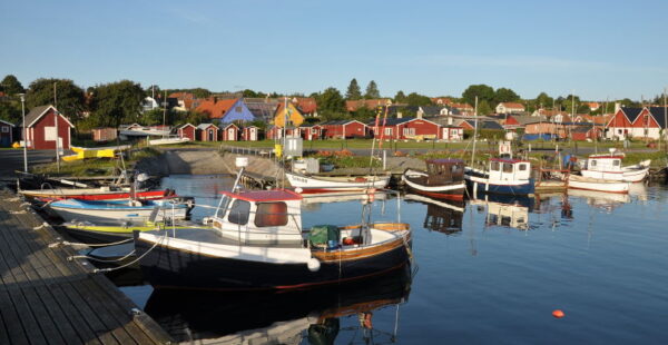 Kivik