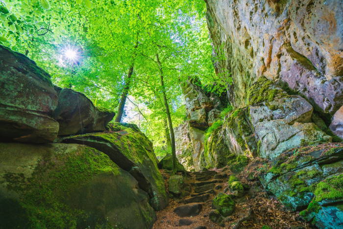 Teufelsschlucht Eifel