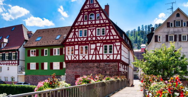 Calw