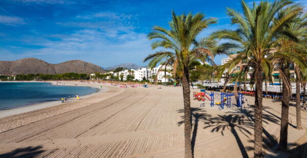 Alcudia