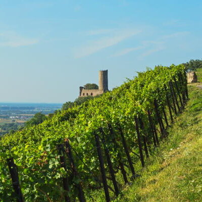Die schönsten Städte an der Badischen Weinstraße