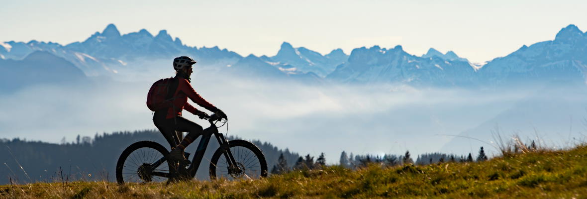 Bodensee-Königssee-Radweg