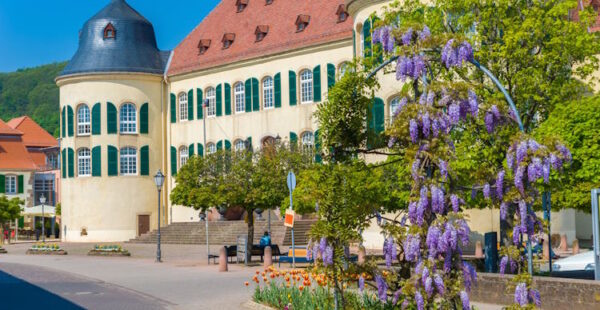 Bad Bergzabern