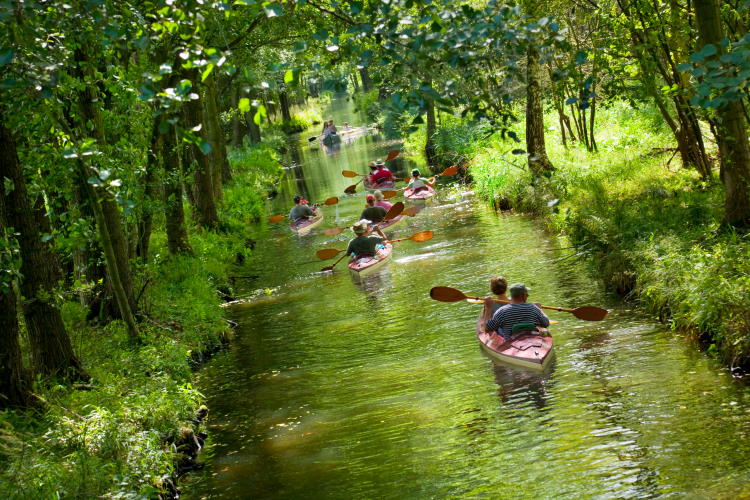 Kanutour Spreewald