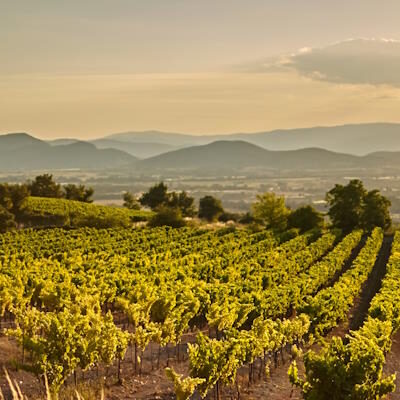 6 berühmte Weinregionen in Europa für Weinliebhaber