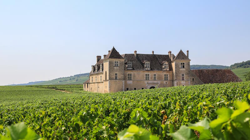 Weinregion Burgund