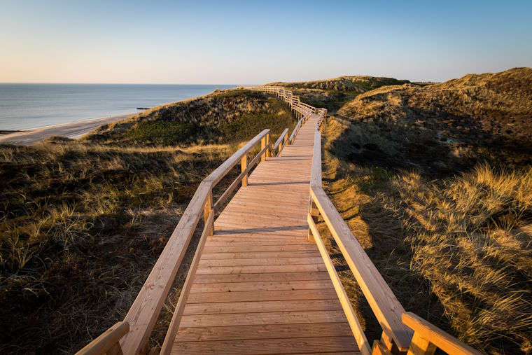 Dünen Sylt