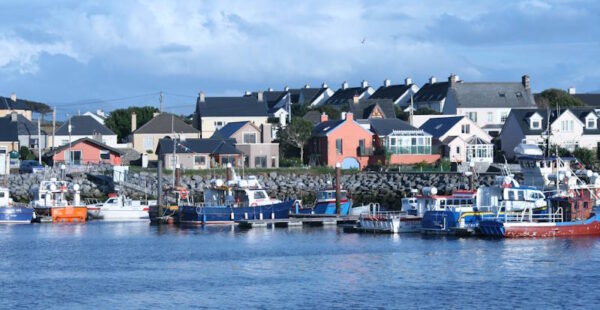 Dingle