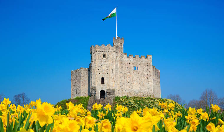 Cardiff Castle