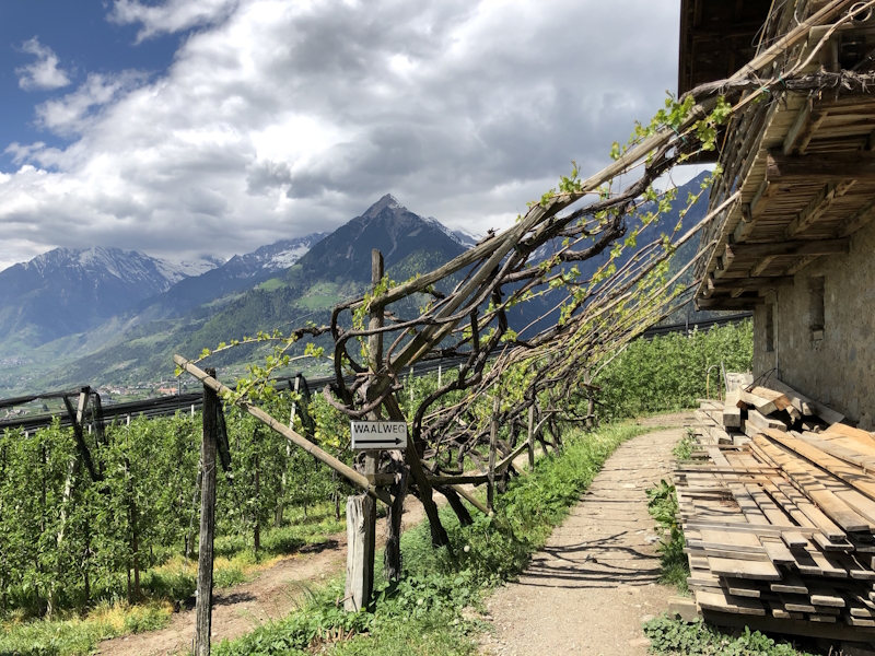 Meran Landschaft
