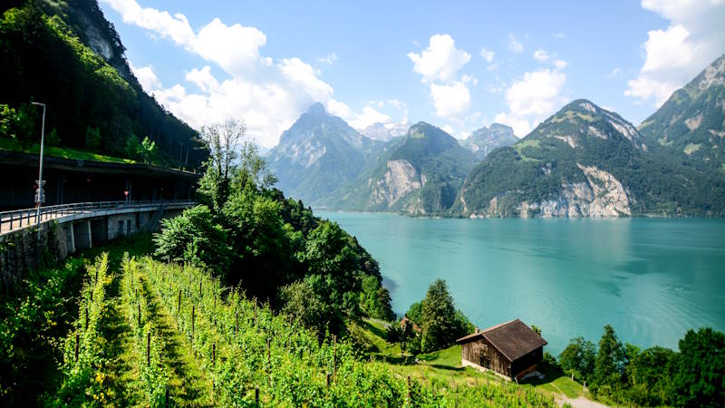 Weinbau Liechtenstein