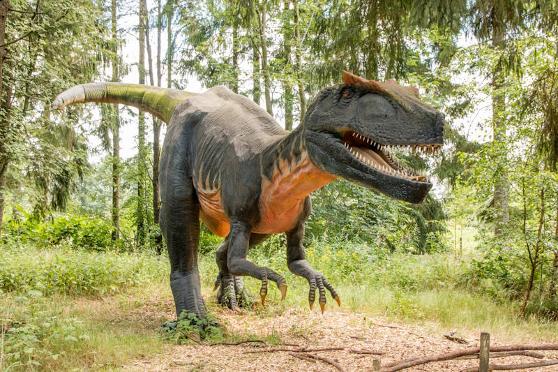 Givskud Zoo, Safari & Dinosaurierpark