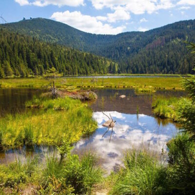 Zwischen Granit und Glück – warum der Bayerische Wald Entschleunigung neu definiert