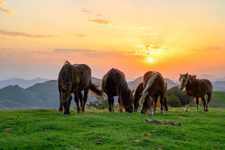 Nordspanien Baskenland