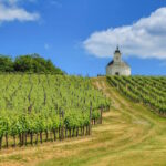 Weinregion Tokaj