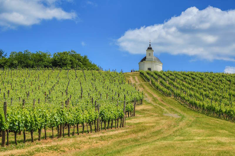 Weinregion Tokaj